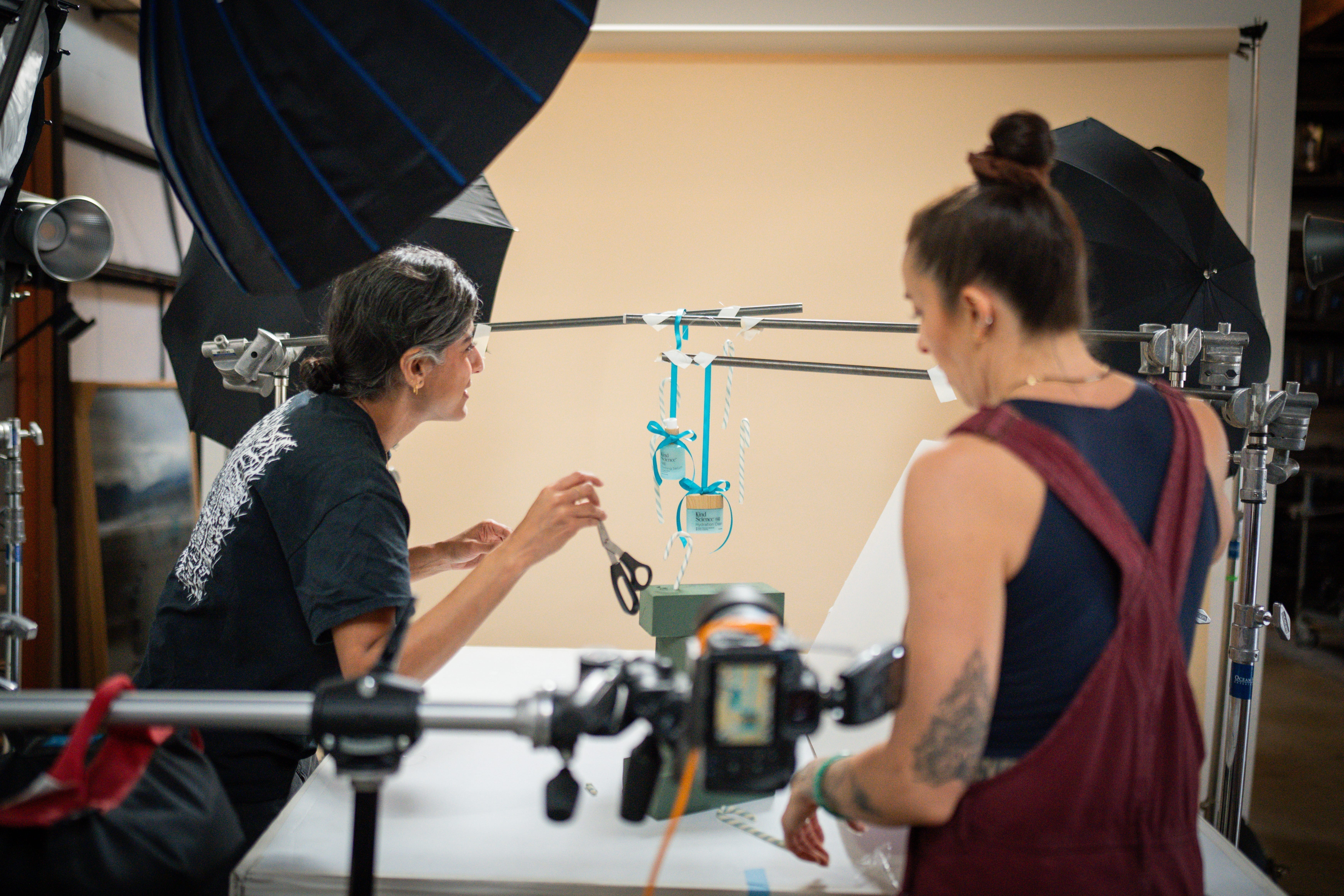 BTS DSC 3